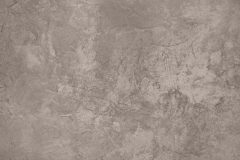 shutterstock_539934280-scaled